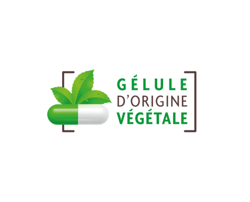 Vegetable capsule