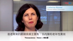 Dr Blondel talking about vision+