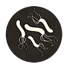 helicobacter-pylori