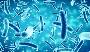 bacteria in a blue background, 3D illustration