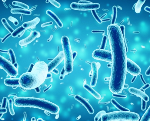 bacteria in a blue background, 3D illustration