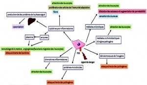 inflammation signal