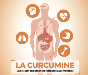 Bioactive curcumin