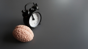 Brain and alarm clock with copy space.